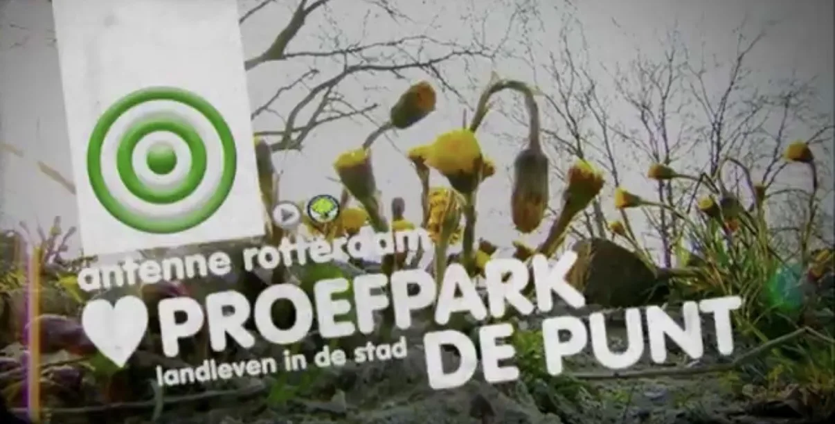 Creatief Beheer - Landleven in de stad #3 2009